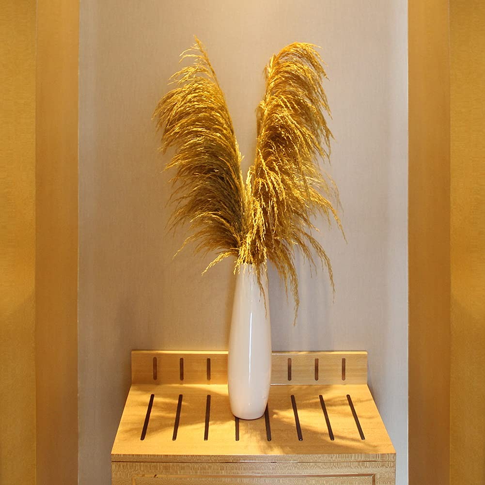 Pampas Grass Decor Tall,Long Pampas, Large Pompas Floral, Elegant Feather Flo…
