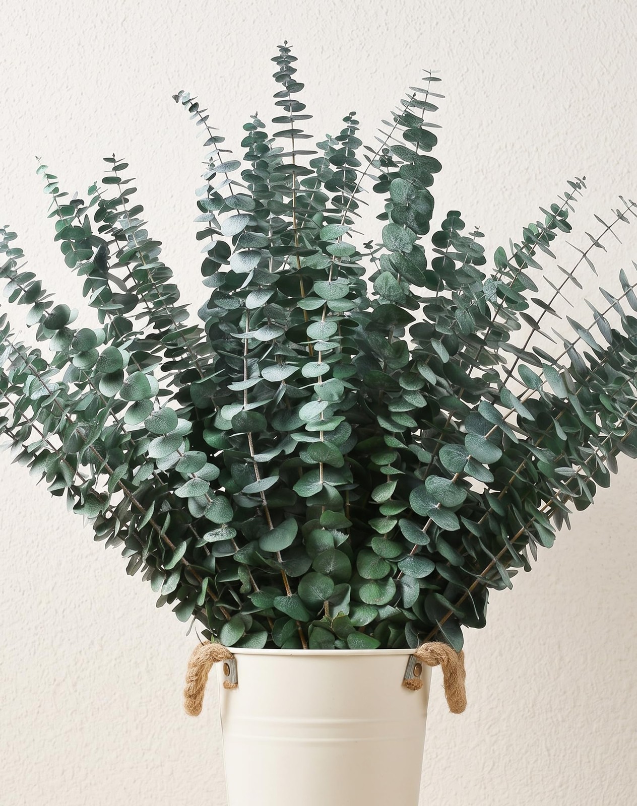 48 Pcs Large Dried Eucalyptus Stems – Natural Eucalyptus Branches for Shower …