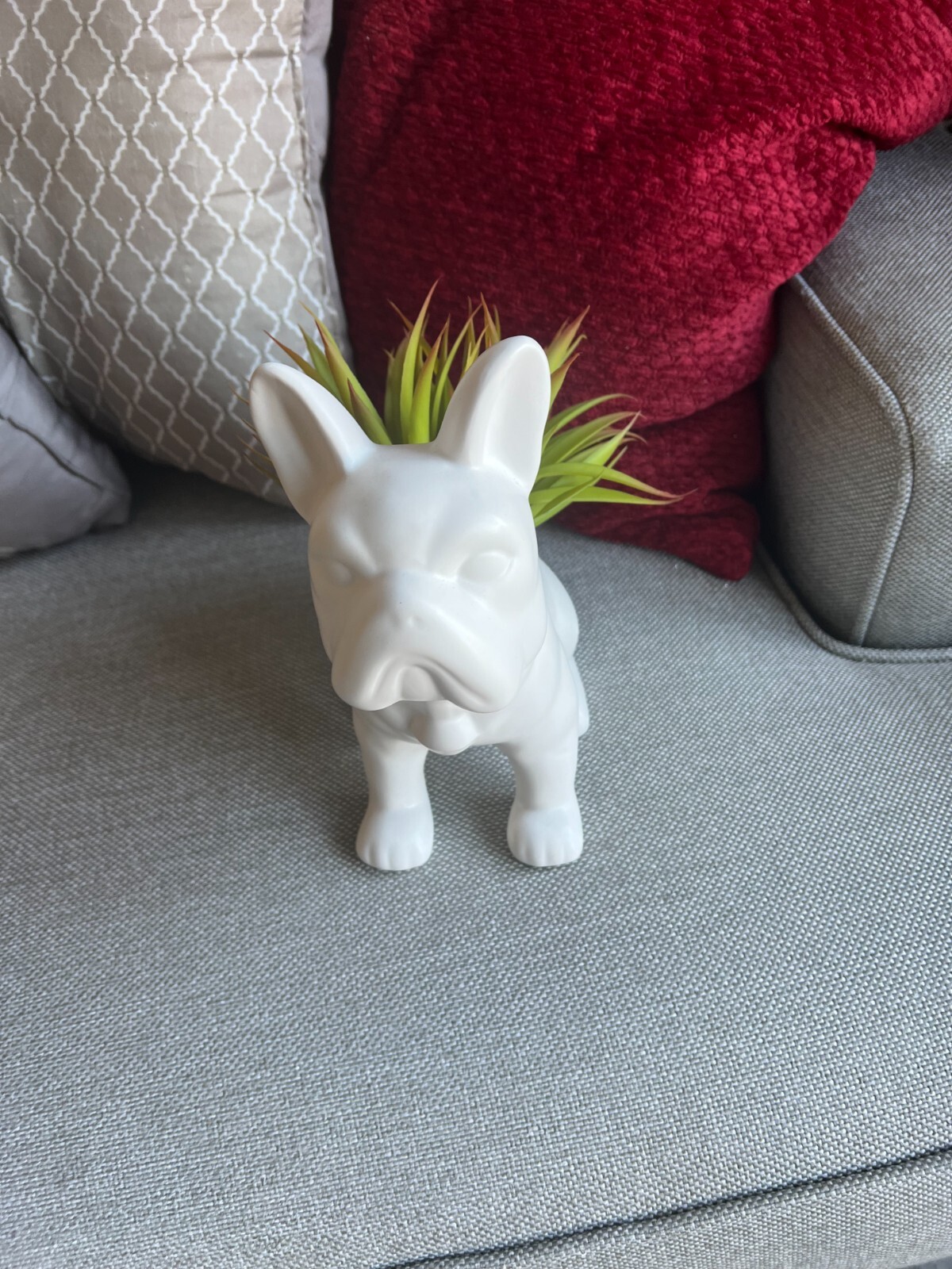 bull dog fake plant – small decor