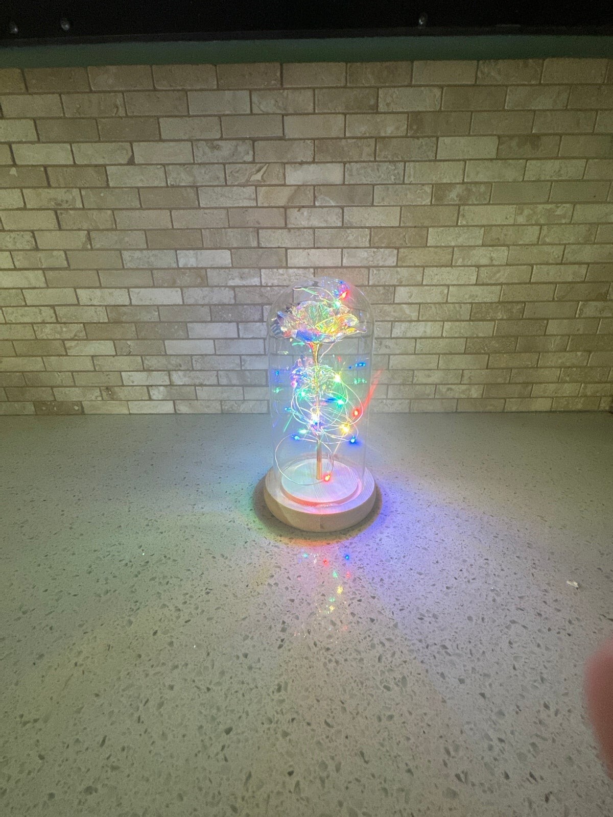 Gifts for Her Galaxy Rose