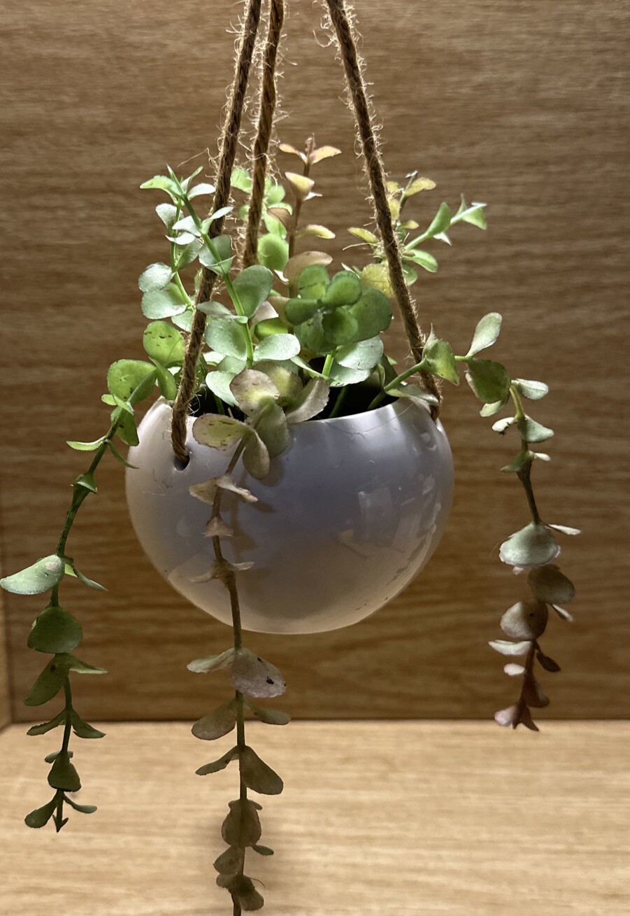 Artificial Faux Plant Hanging White Pot Succulent Green Leaf decor Small Planter