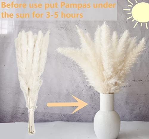 110 PCS Dried Pampas Grass Bouquet, Boho Table Decor, Bunny 110pcs Pampas Grass