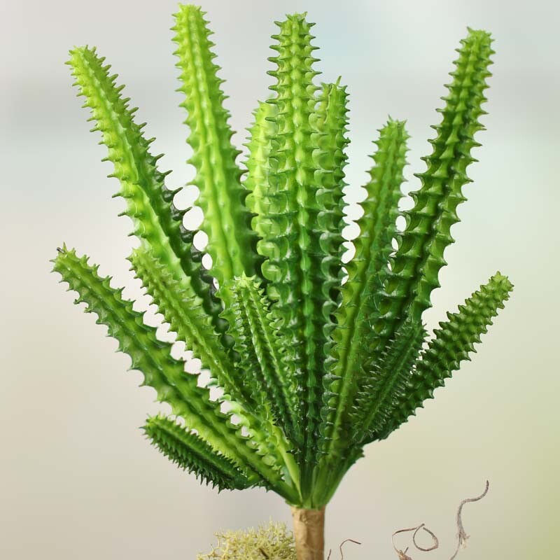 Artificial Finger Cactus Plant Picks