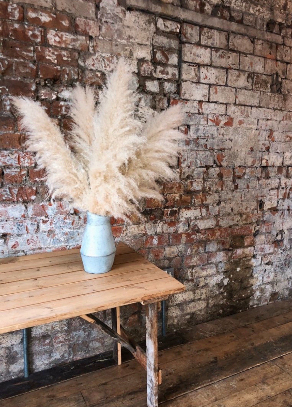 XL Pampas Grass 48”Inch 10 Stems Natural Decor Tall Boho Home Wedding