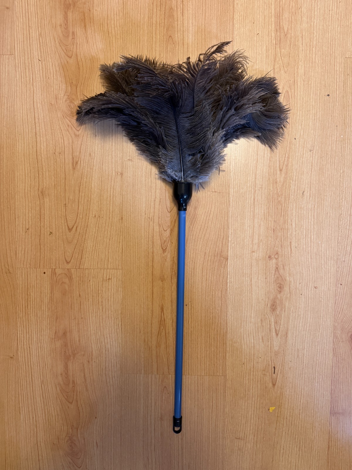 Economy ostrich feather duster 45cm plastic handle – janitor duster