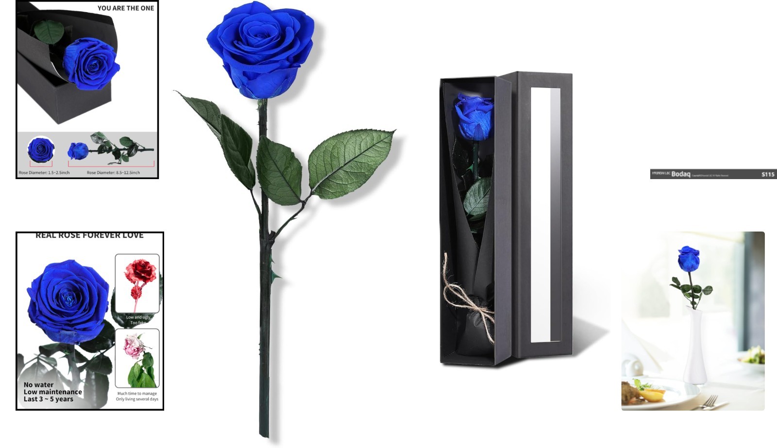 Elegant Preserved Blue Roses – Perfect Birthday & Anniversary Gift for Women