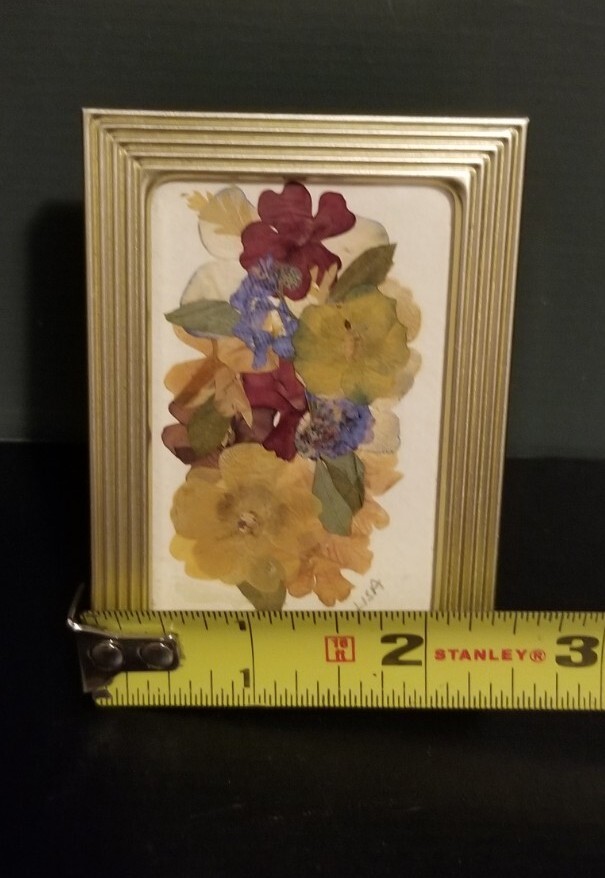 Small 2 3/8″ X 3 3/8″ Press Dried Flower 1 Burgandy Yellow green Framed FF25