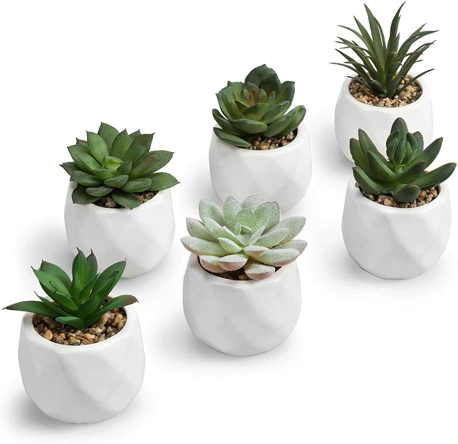Mini Assorted Artificial Succulents in White Geometric Ceramic Pots, Set of 6