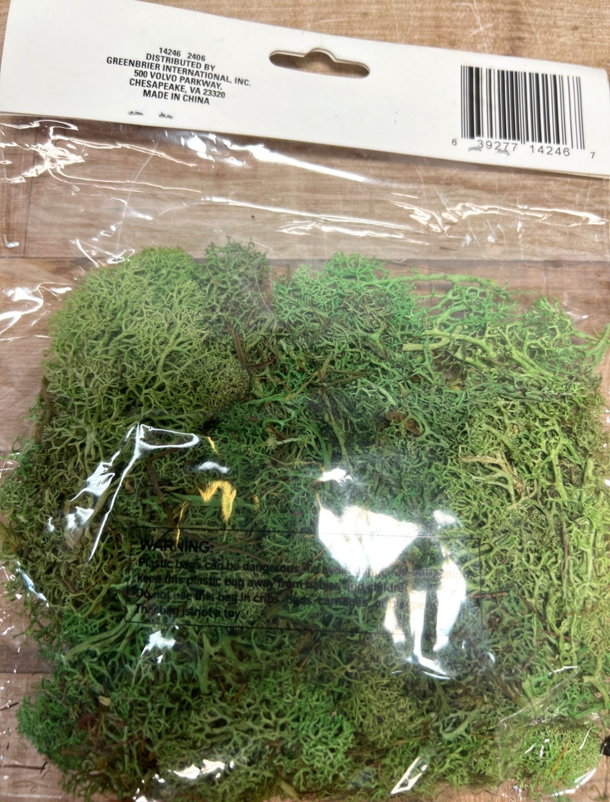 Floral Garden Reindeer Moss Preserved Natural Green Craft Decor 24 cu in