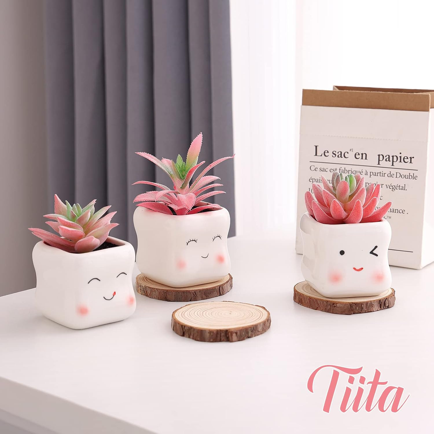 Adorable Mini Faux Succulents in Pots for Home Office Decor and Accessories