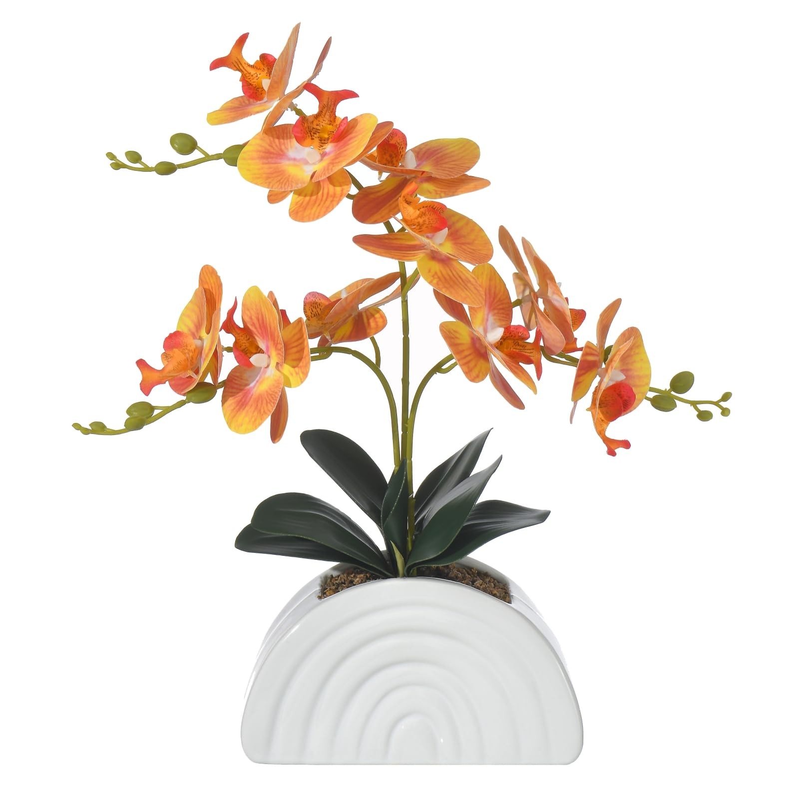 Artificial Orchid Plant In White Rainbow Pot Silk Phalaenopsis Flowers Orange