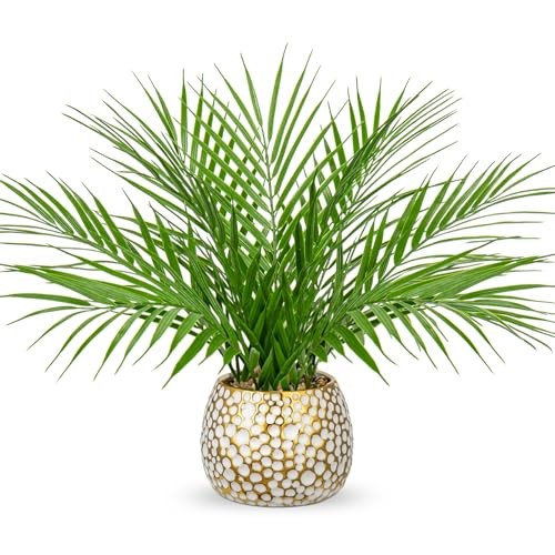 Fake Plants 15” Faux Palm Plant in Gold-White Pot Realistic Artificial