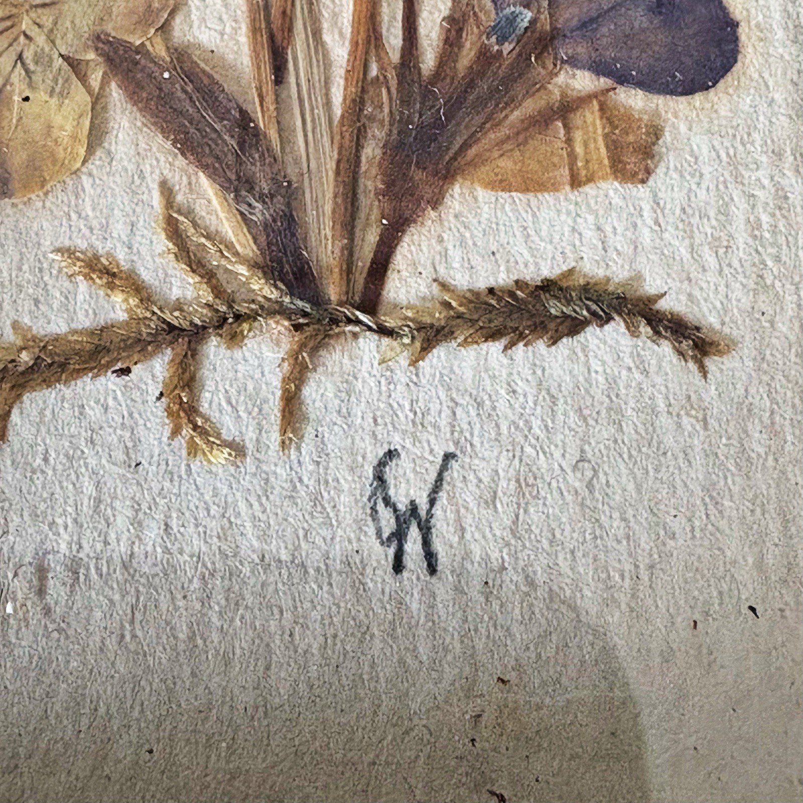 Set Vintage Pressed Flower Framed East Germany 7.5”x2.75” Cottage Core Signed