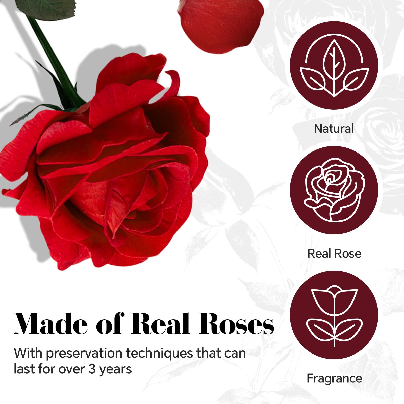 16 PCS Preserved Real Roses Heart Shape Box Forever Flowers Red