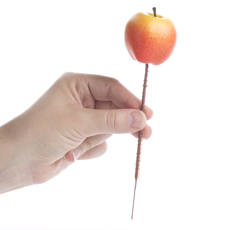 Assorted Artificial Apple Picks