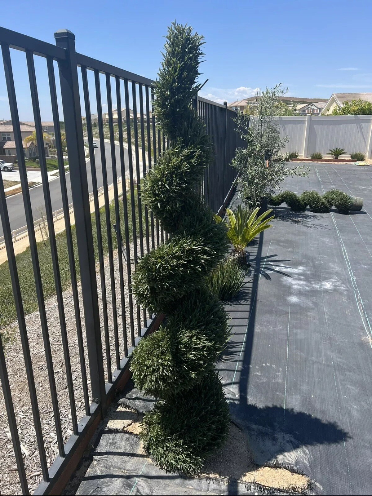 5′ Topiary Rosemary Artificial Spiral Tree UV (Indoor/Outdoor). Retail $443