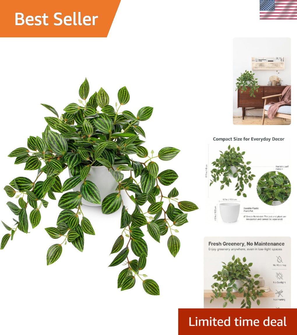 17.7″ Faux Watermelon Peperomia Plant in White Pot – Realistic Indoor Greenery