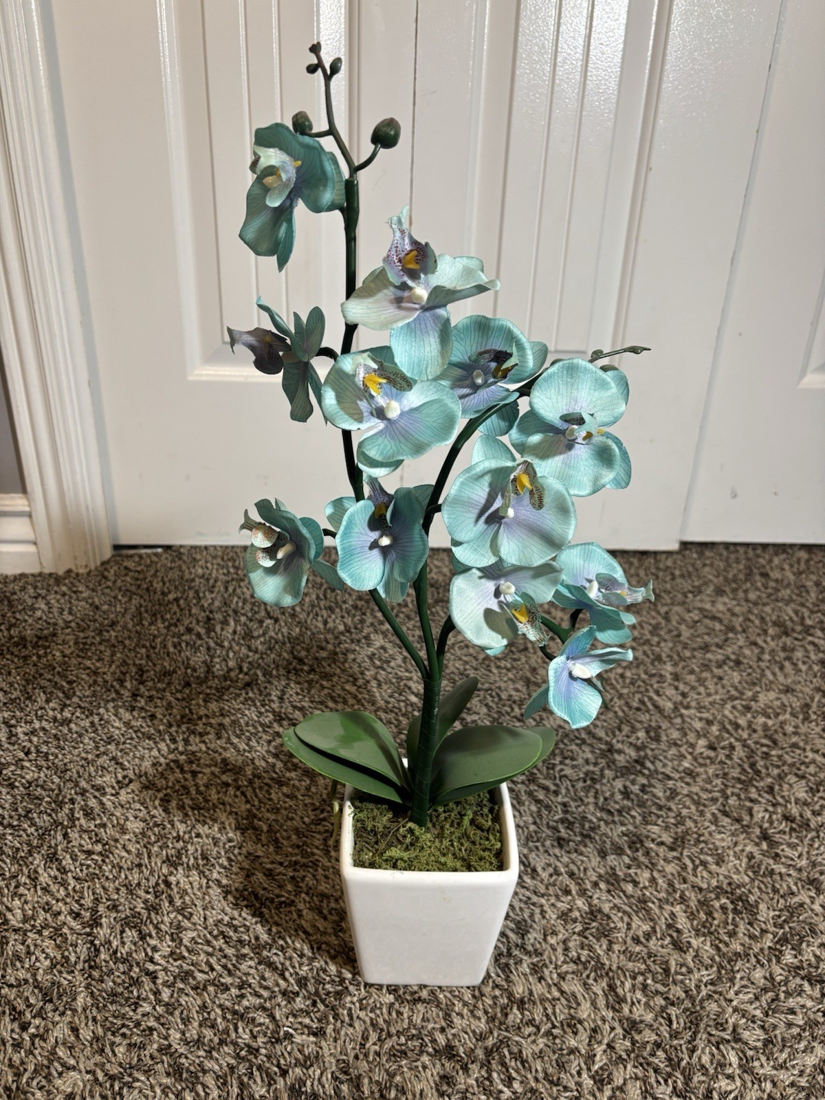 Artificial Orchid Plant in White Ceramic Pot – 23” Tall – Teal Blue Flowers