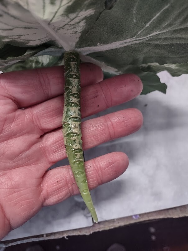 Mini rose artificial decorative cabbage. Silk Flowers