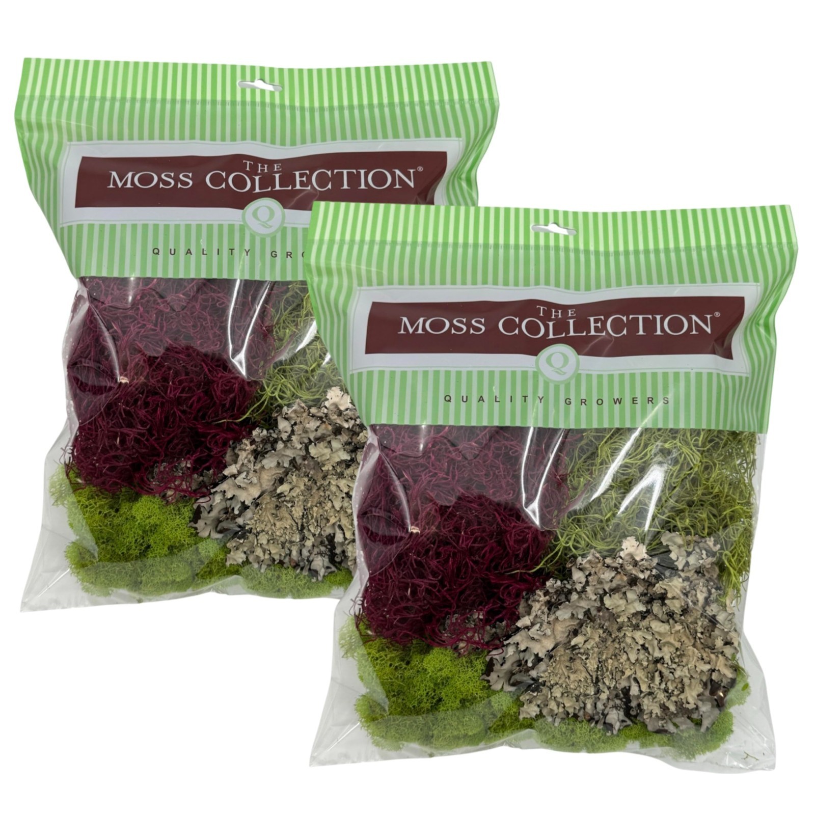 Natural Decorative Moss Variety Pack – Non-Toxic Craft & Home Decor – Red Mix, 2