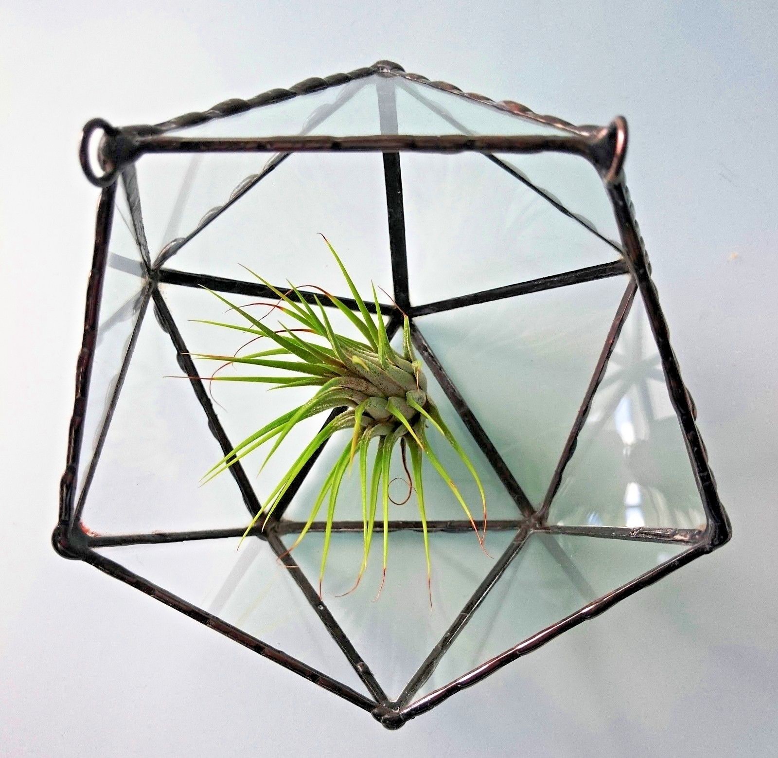 Stained Glass Terrarium Wall Hanging Black Frame Transparent, Planter For Indoor