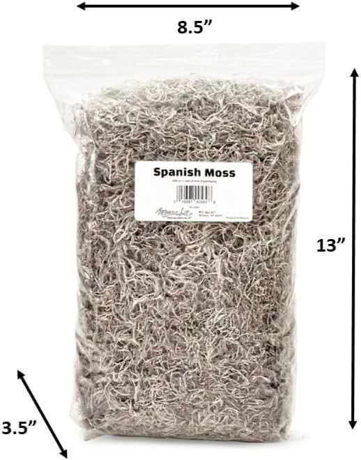 Natural Spanish Moss for Decor, Crafts & Plant Care
