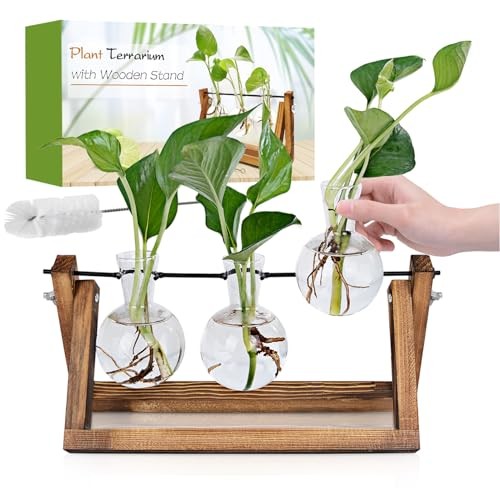 Plant Propagation Station, Plant Terrarium with Wooden Stand, 3 Bulb Vase
