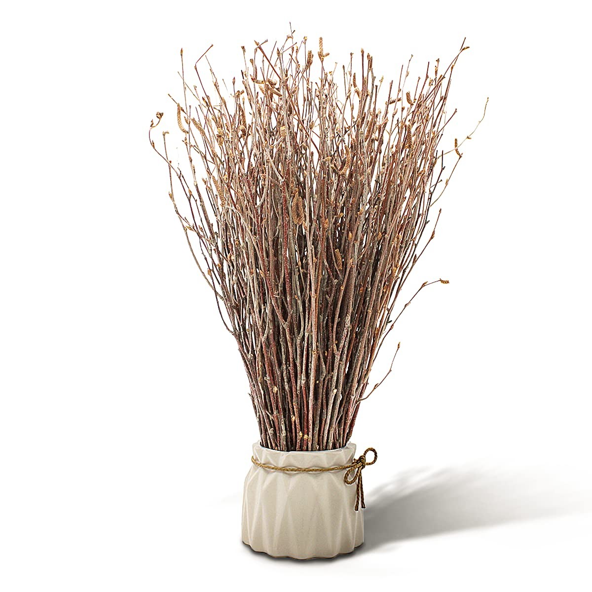 Alater 200pcs Birch Twigs 100% Natural Birch Branches for Decorating, DIY Cra…
