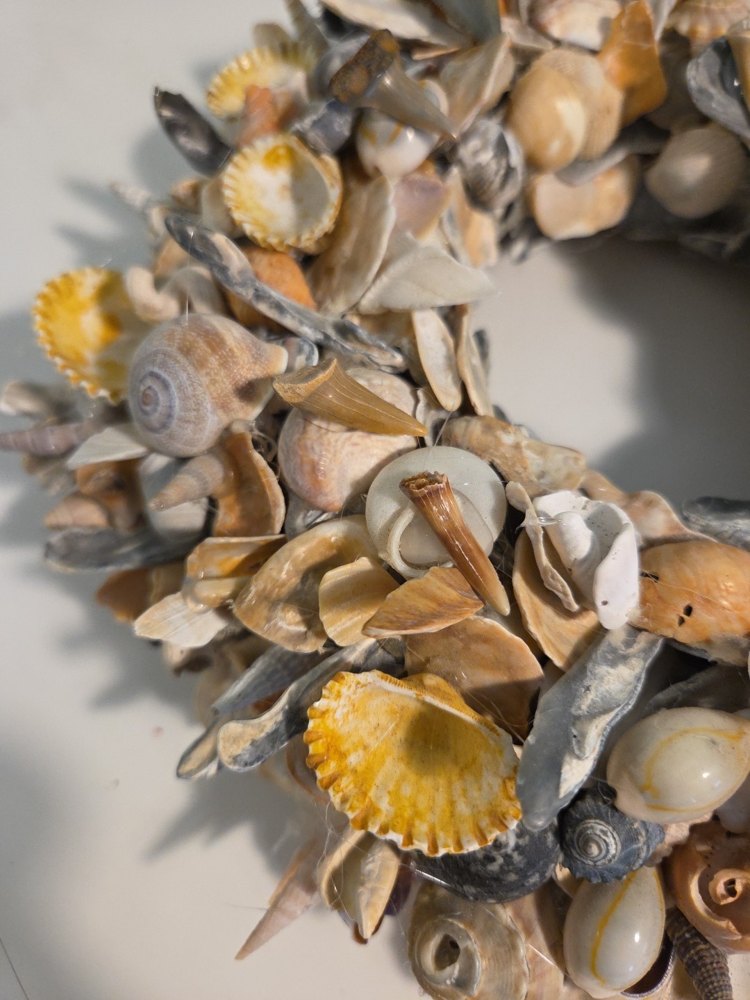 Coastal Seashell Wreath Fossil Shark Teeth Nautical 10″ Center Piece, Hang