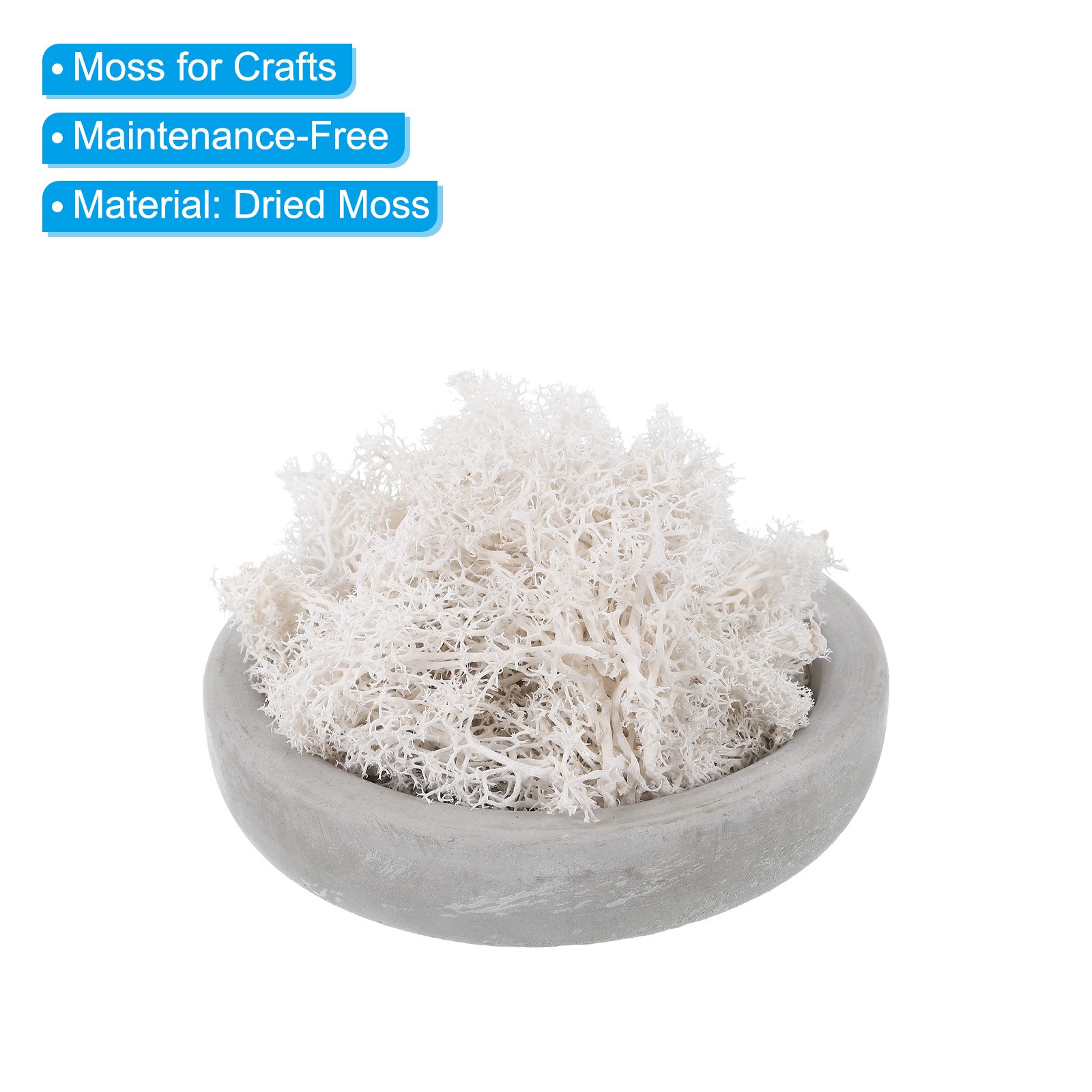 1.8 OZ Fake Moss Preserved Reindeer Moss Artificial Moss Lichen White