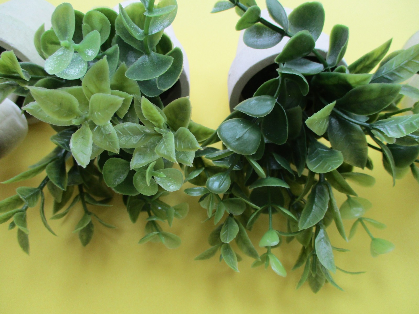 5 PLANTS IN POTS Artificial Small Fake home/office MUSHROOMS LAVENDAR GREENS
