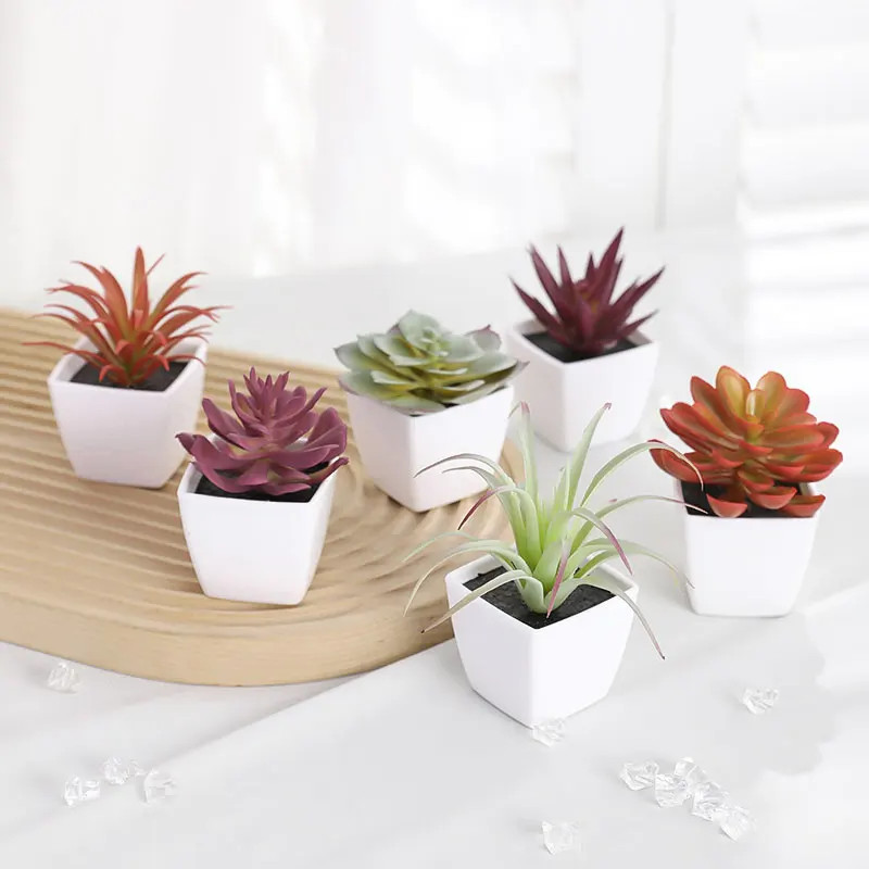 6PCS (SET) Mini Artificial Succulent Green Plant Plastic Wwhite Basin, Home Win