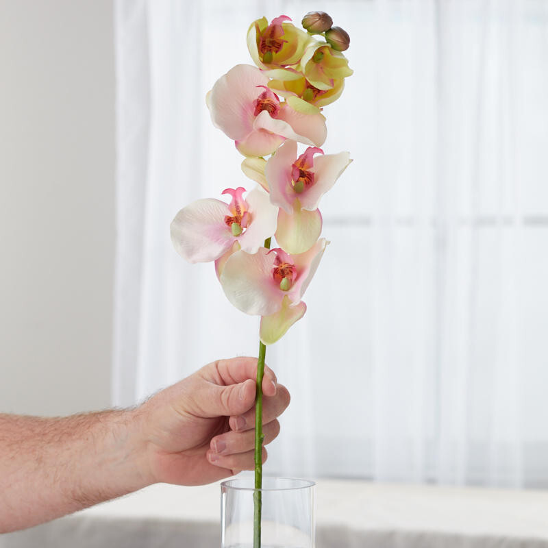 Package of 2 Artificial Pink Poly Silk Moth Orchid 32″ Floral Stems