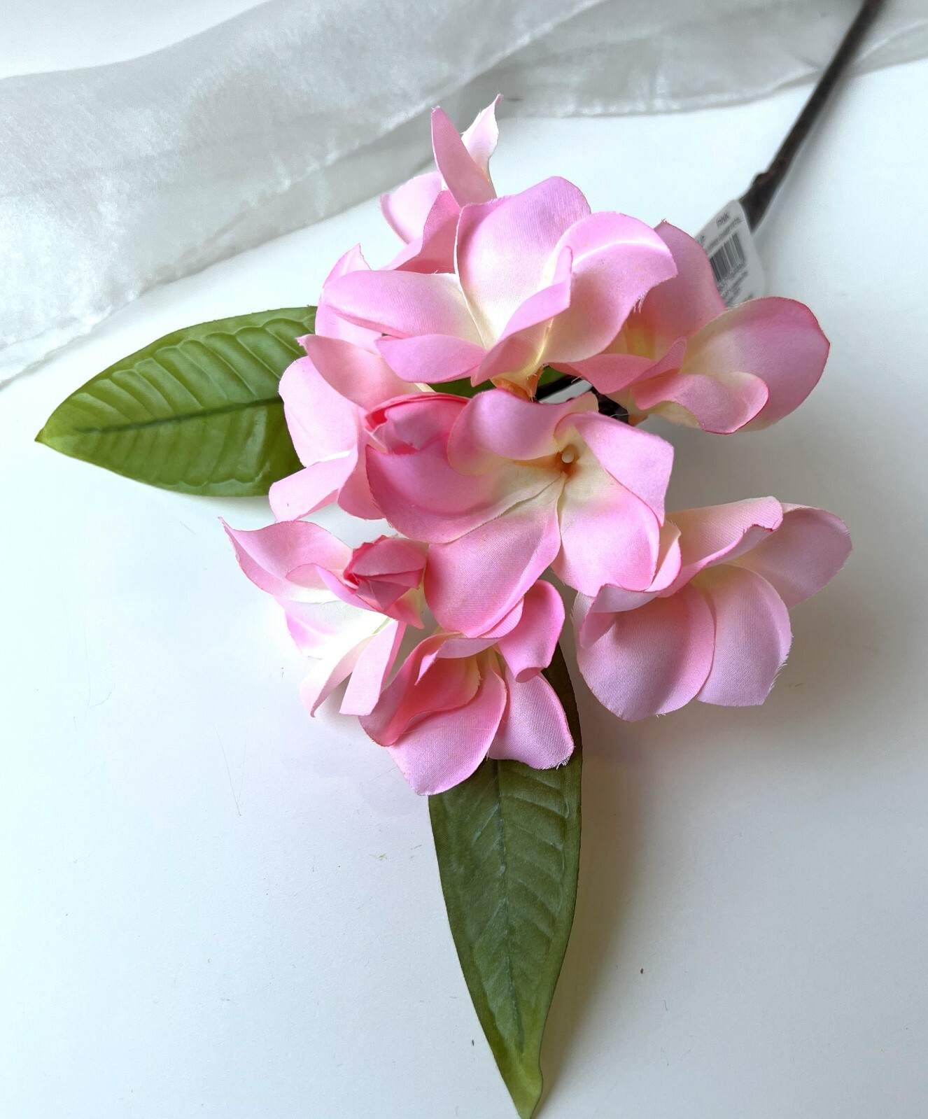 Artificial Frangipani Stem Pink Tropical Frangipanies DIY Arrangement flowers