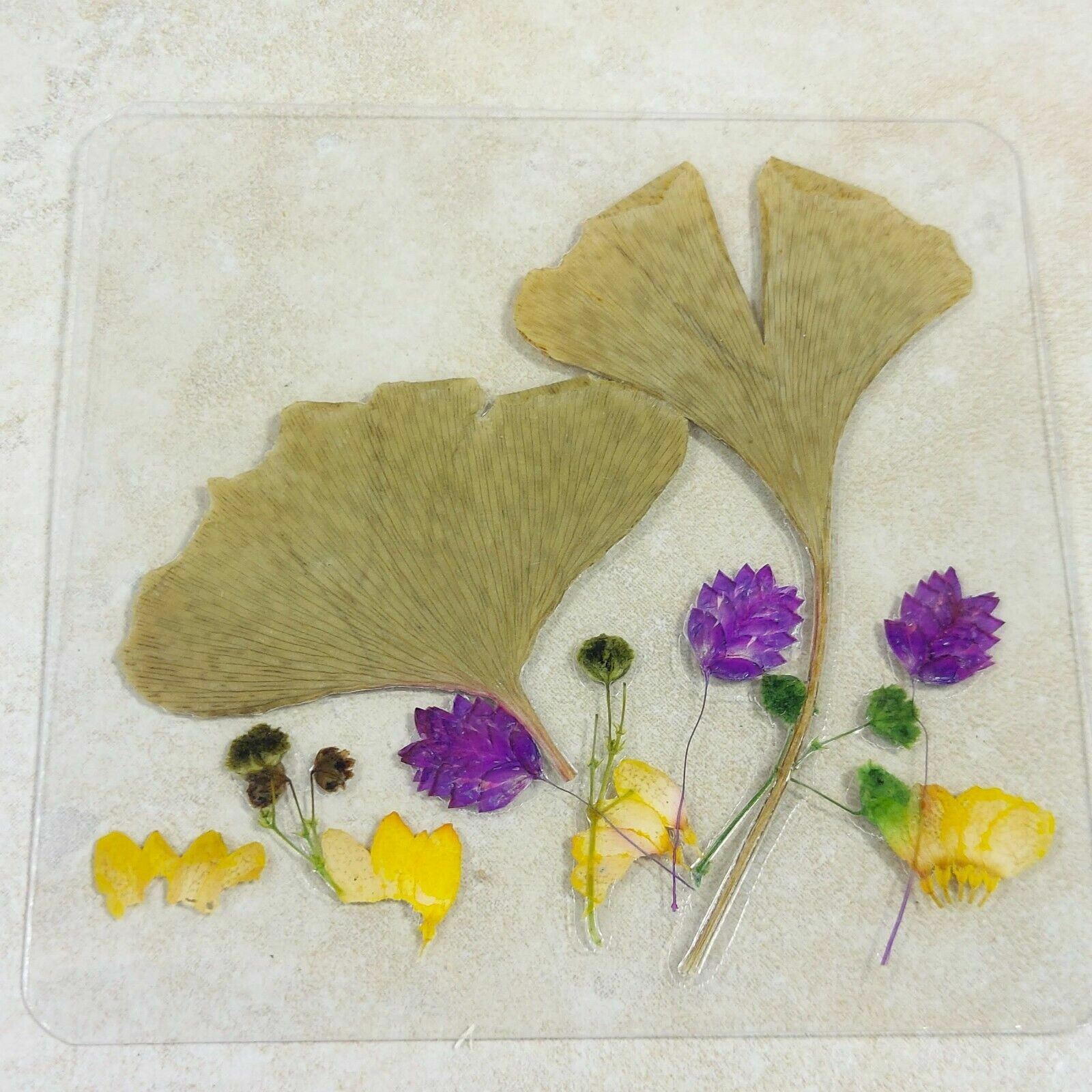 Dried Pressed Flowers Natural Flower Petal Set Resin Art Design Home Décor Gift