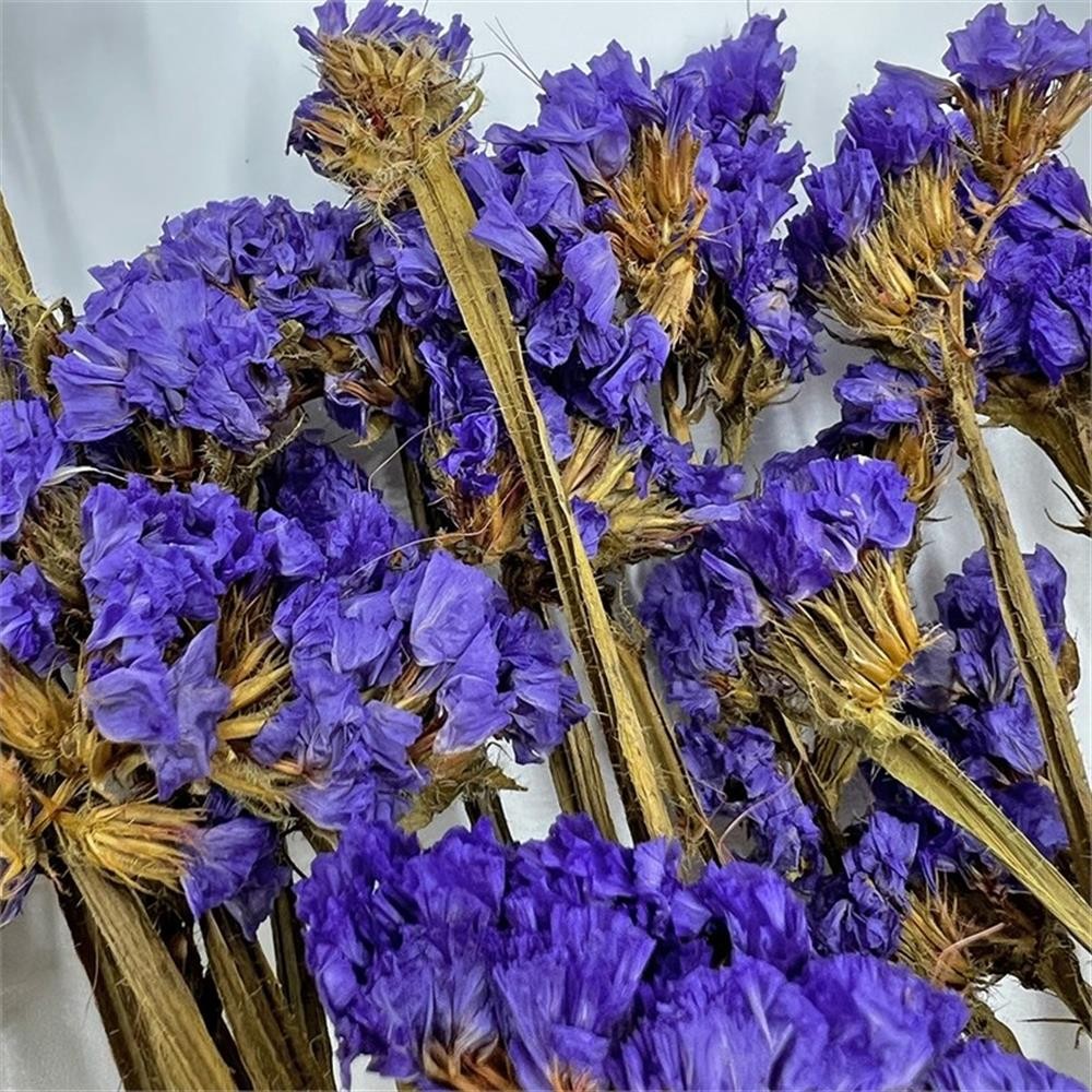 Pemberly Row 10-inch High Real Preserved Mixed Bouquets in Small Size