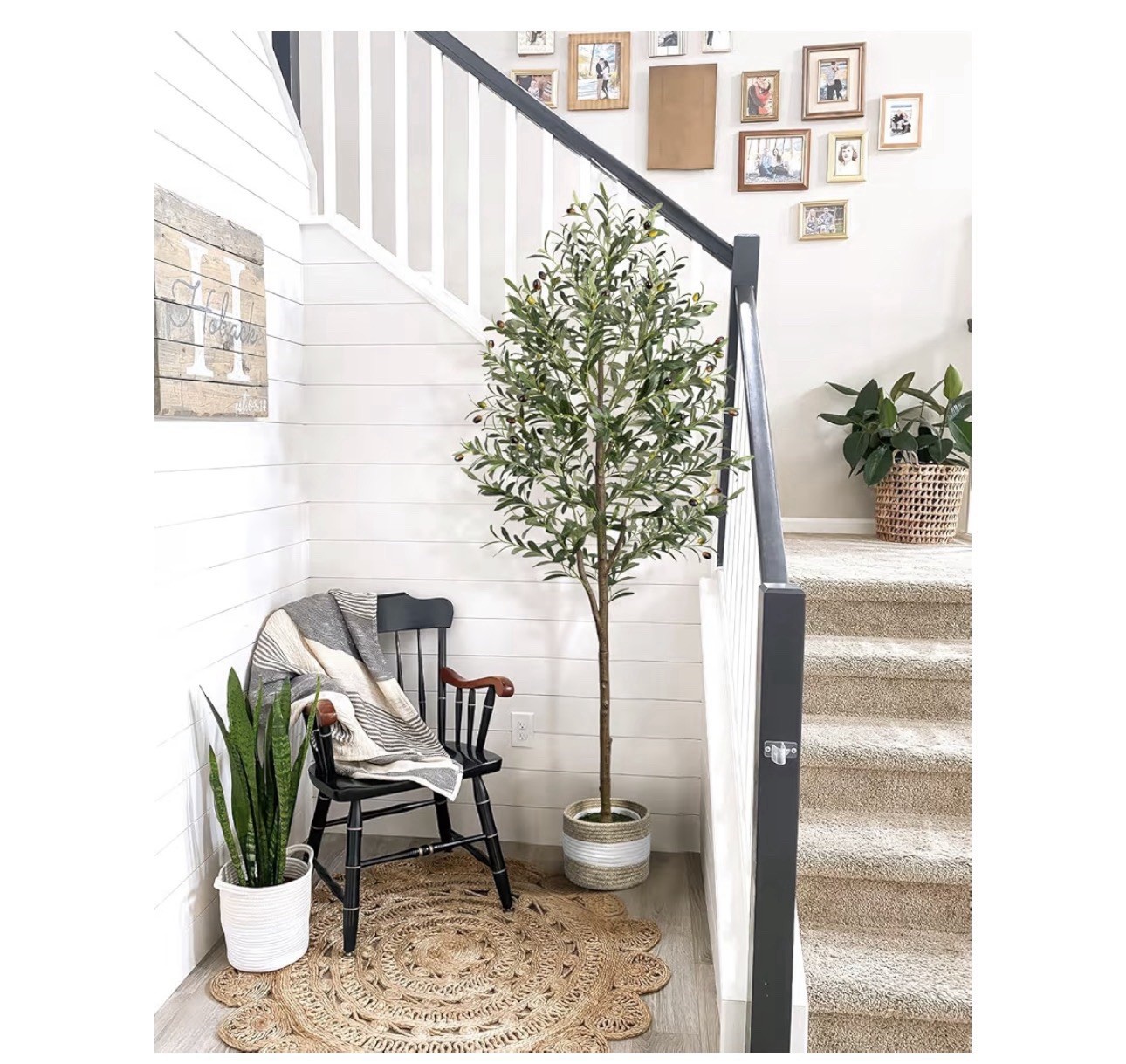 6FT Artificial Olive Tree – Indoor Tall Faux Olive Trees with Planter&Basket,