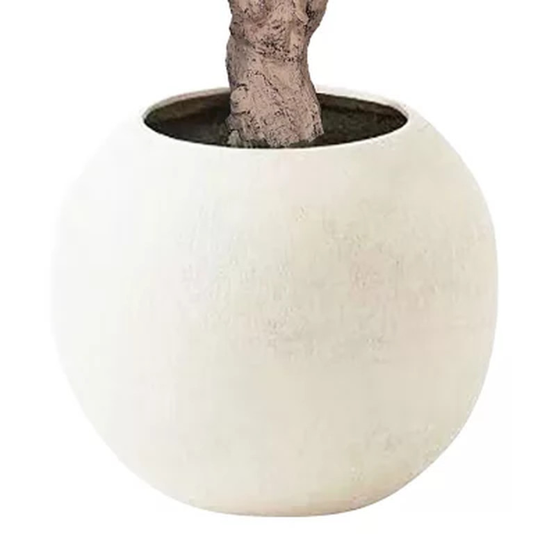 Member’s Mark Faux 8′ Deluxe Olive Tree in Oversized Cream Pot