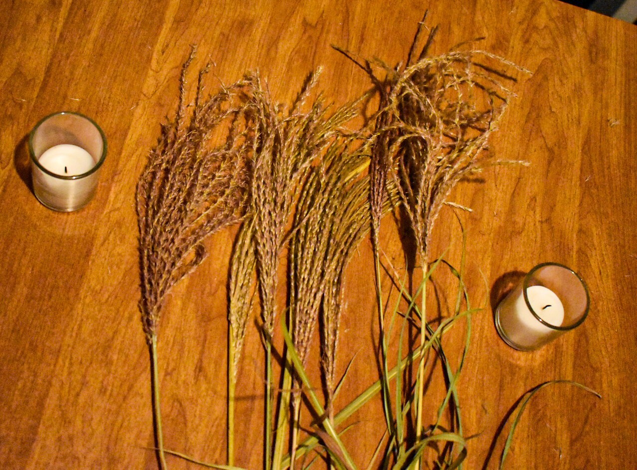 Dried Mountain Pompass Grass/ Boho Decor / Wedding decor / Home Decor