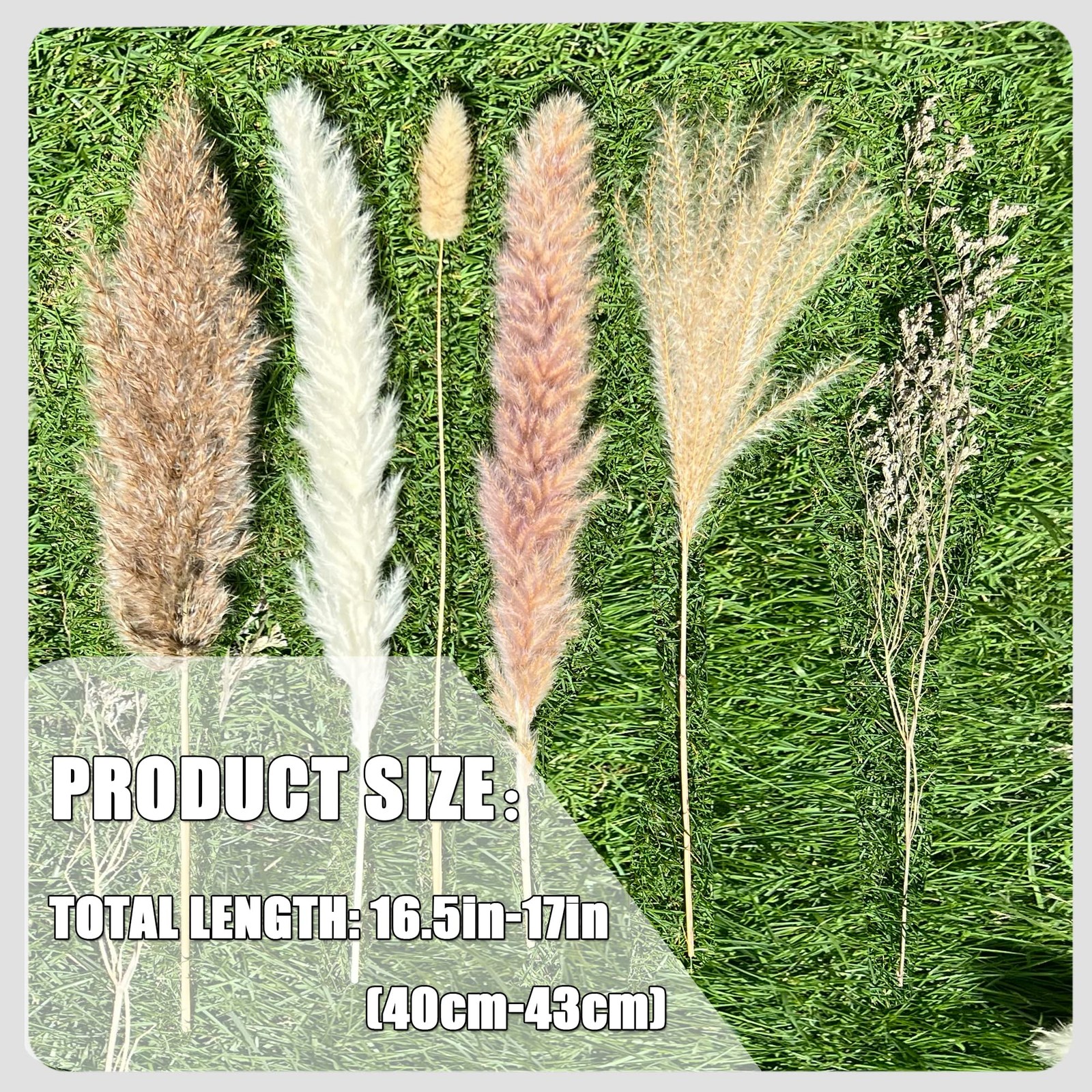100Pcs Pampas Grass Boho Home Decor 17 inch 100, Off-white,beige,brown,grey