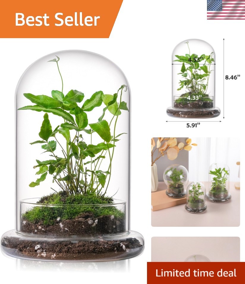 Durable 8” Mini Glass Cloche with Drainage Hole – Perfect for Small Plants