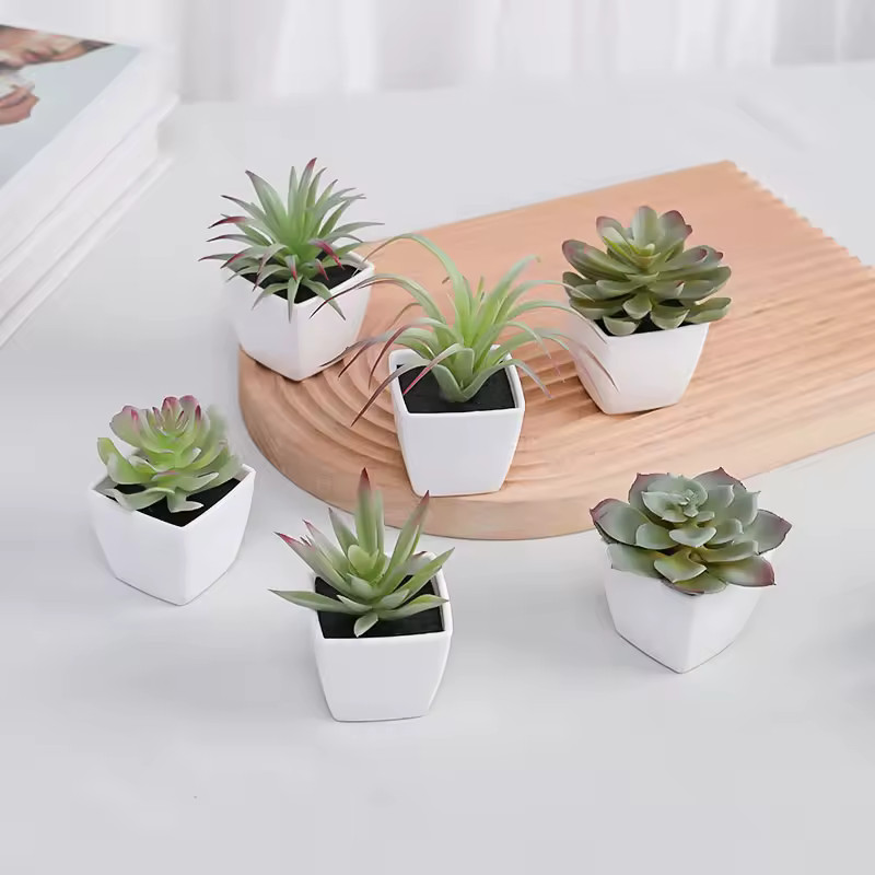 6Pcs Mini Artificial Succulents Plastic Green Faux Plants in White Pots