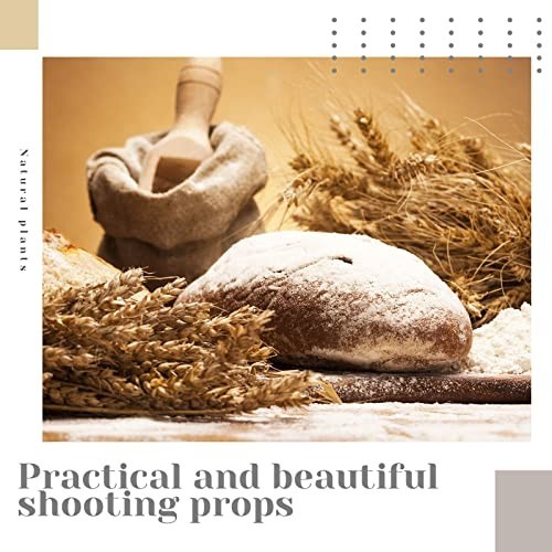 600 Stems Dried Wheat Stalks Bundle – Natural Wheat Grass for DIY Decor, Centerp