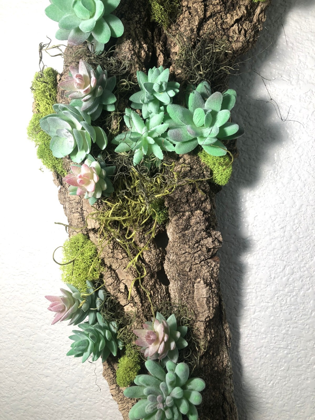 Artificial Succulent Air Plant Wall Art Home Office Mounted on Real Wood Bark
