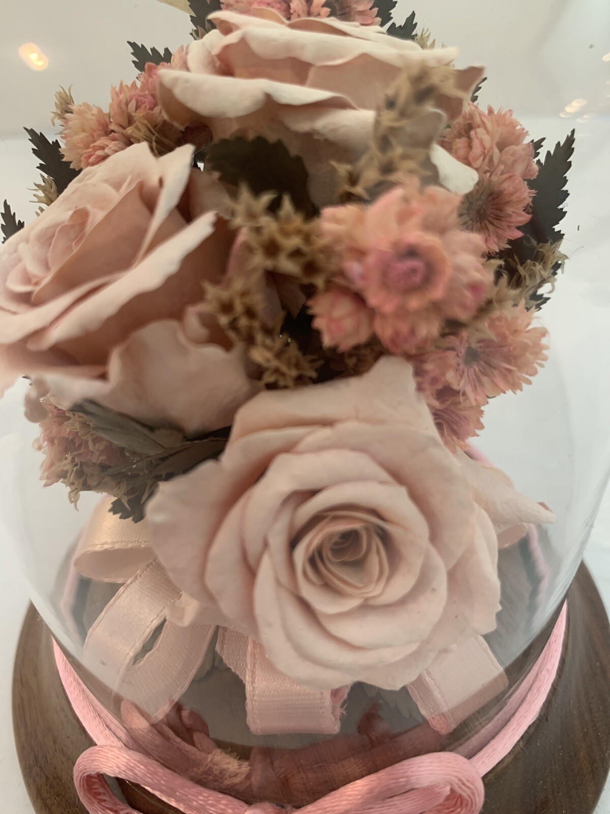 Vintage Preserved Real Pink Roses in Glass Case *4 in x 5 in*