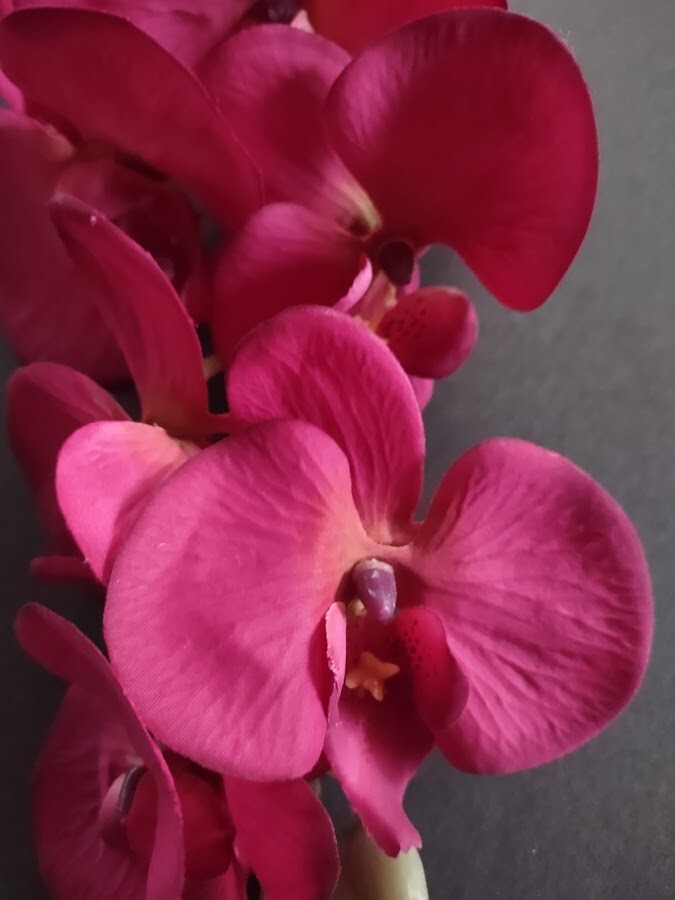 Artificial Phalaenopsis Orchid flower stem FUCHSIA