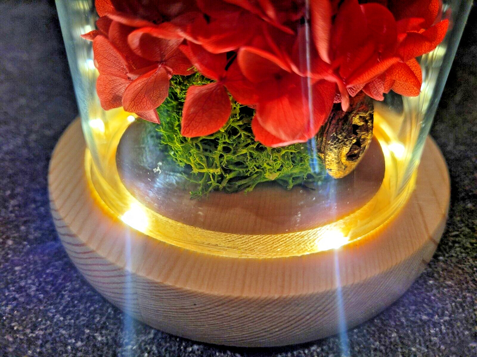 Flower Decoration Glass Cover Wooden Base Valentine’s Day Gift for Girlfriend’