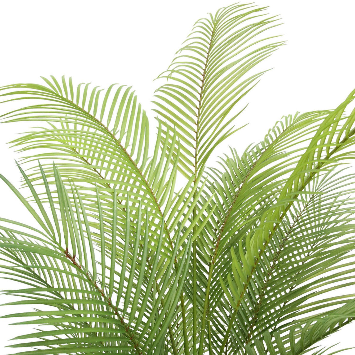 PALM TREE FAUX INDOOR PLANT FOR INDOORS ARTIFICIAL FAKE IN POT REALISTIC 6.5 FT