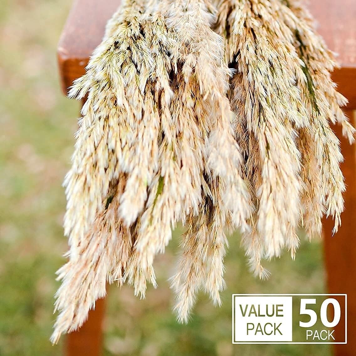 50 PCS Dried Pampas Grass Natural Dried Reed flower Bunch wedding Bouquets Home