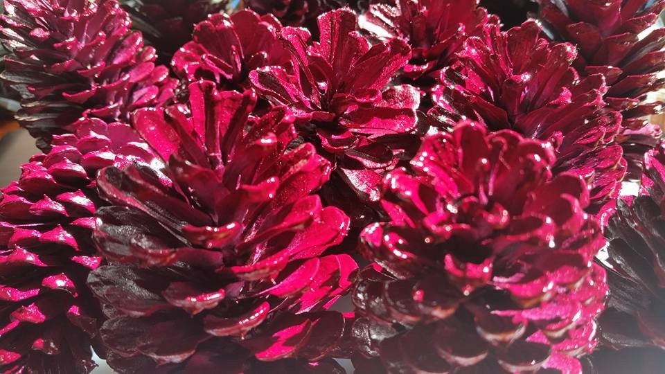 12 Magenta Pine Cones Hand Painted All Natural Premium Cones One Dozen Painted P